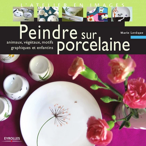 Peindre sur porcelaine - Marie Levêque - Eyrolles