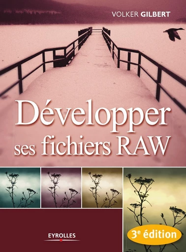 Développer ses fichiers RAW - Volker Gilbert - Eyrolles