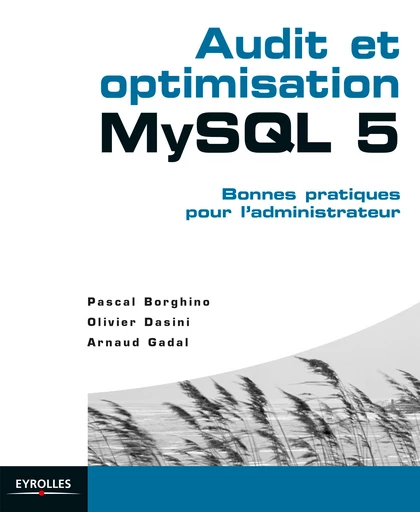 Audit et optimisation MySQL 5 - Pascal Borghino, Olivier Dasini, Arnaud Gadal - Eyrolles