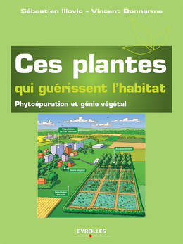 Ces plantes qui guérissent l'habitat - Sébastien Illovic, Vincent Bonnarme - Eyrolles
