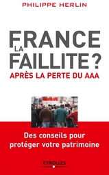 France, la faillite ? - Philippe Herlin - Eyrolles