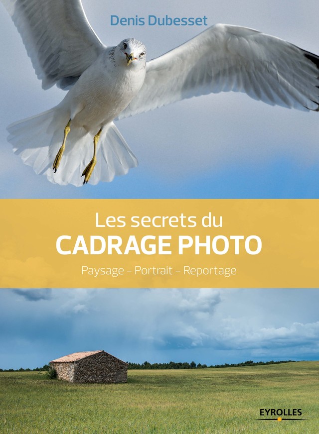 Les secrets du cadrage photo - Denis Dubesset - Editions Eyrolles