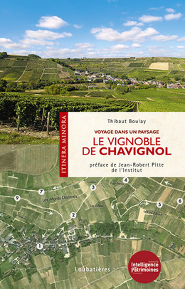 Le vignoble de Chavignol - Thibaut Boulay - Loubatières