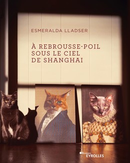 À rebrousse-poil sous le ciel de Shanghai - Esmeralda Lladser - Editions Eyrolles