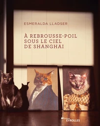 À rebrousse-poil sous le ciel de Shanghai