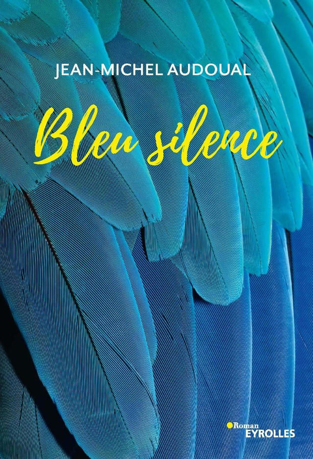 Bleu silence - Jean-Michel Audoual - Eyrolles