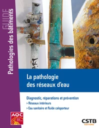 La pathologie des réseaux d'eau