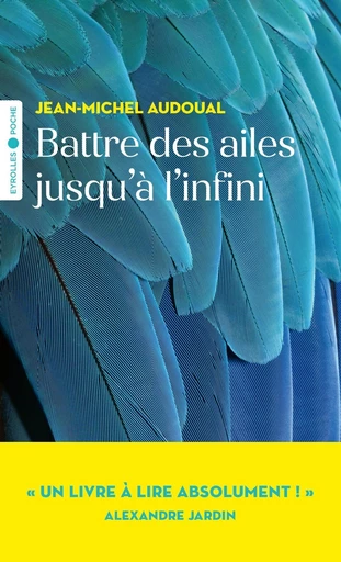 Battre des ailes jusqu'à l'infini - Jean-Michel Audoual - Eyrolles