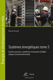 Systèmes énergétiques Tome 3