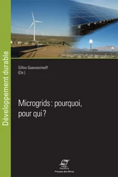 Microgrids : pourquoi, pour qui ?