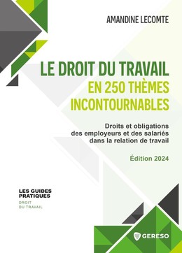 Le droit du travail en 250 thèmes incontournables - Amandine Lecomte - Gereso